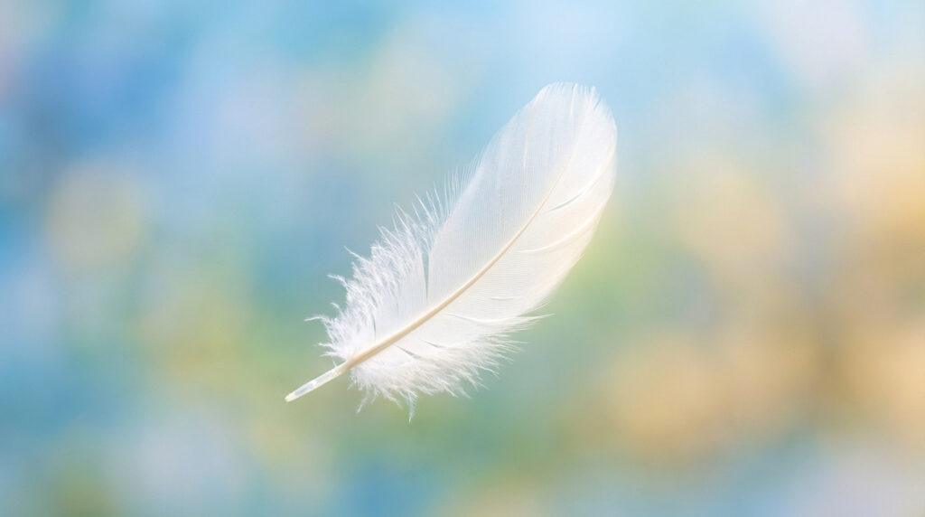 Une plume blanche délicate flotte en apesanteur devant un arrière-plan doux et flou de teintes bleues, vertes et jaunes.