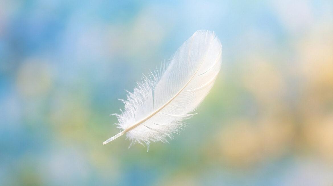 Une plume blanche délicate flotte en apesanteur devant un arrière-plan doux et flou de teintes bleues, vertes et jaunes.