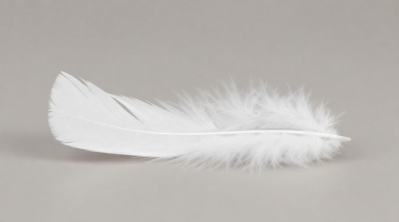 3 gestes concrets à adopter après cette découverte