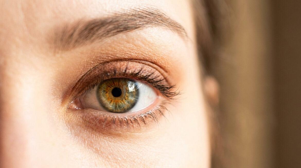 Gros plan sur un œil noisette d'une personne, montrant un iris aux reflets verts et marrons, des cils longs et un sourcil défini.