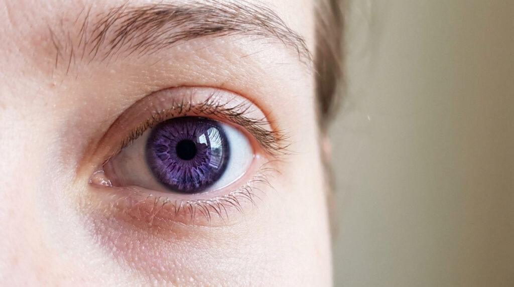 Gros plan sur un œil humain avec un iris d'un violet profond. Les cils et une partie du sourcil sont visibles, la peau est claire.
